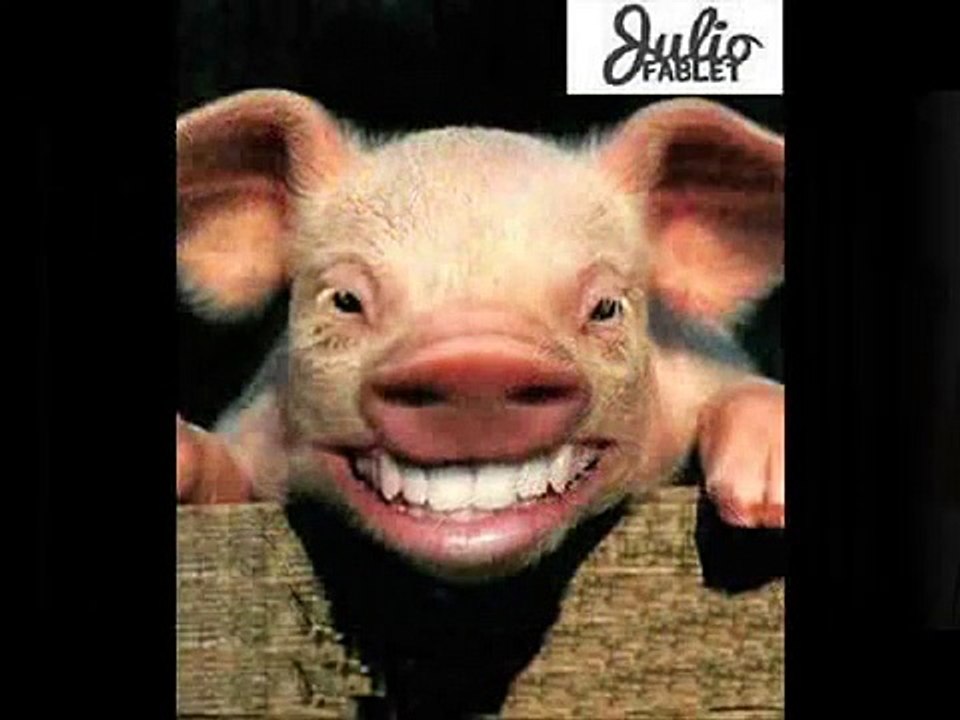 UN CLÁSICO DE DON LUIS: EL CUENTO DE LA CHANCHA