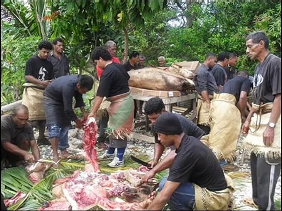 Simaima Lavemai Song (Veuki 'oe 'Ofa)