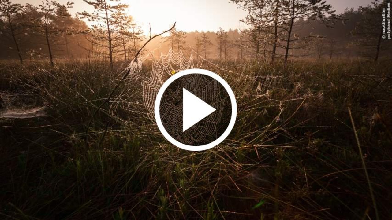 Magie Der Moore Trailer 1 (deutsch)