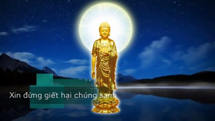 Xin Đừng Giết Hại Chúng Sanh Vô Tội