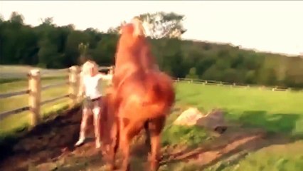 sexxyyy video 2014 nik live   best funny animals compilation   funny videos 2014 HD Part42