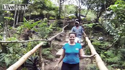 While It Snowed Most Elsewhere the Blue Hole in Ocho Rios, Jamaica Thrived, lol