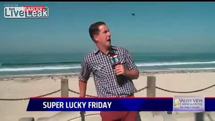 Reporter Freaks Out when a Large Bug attempts to Ruin his Day