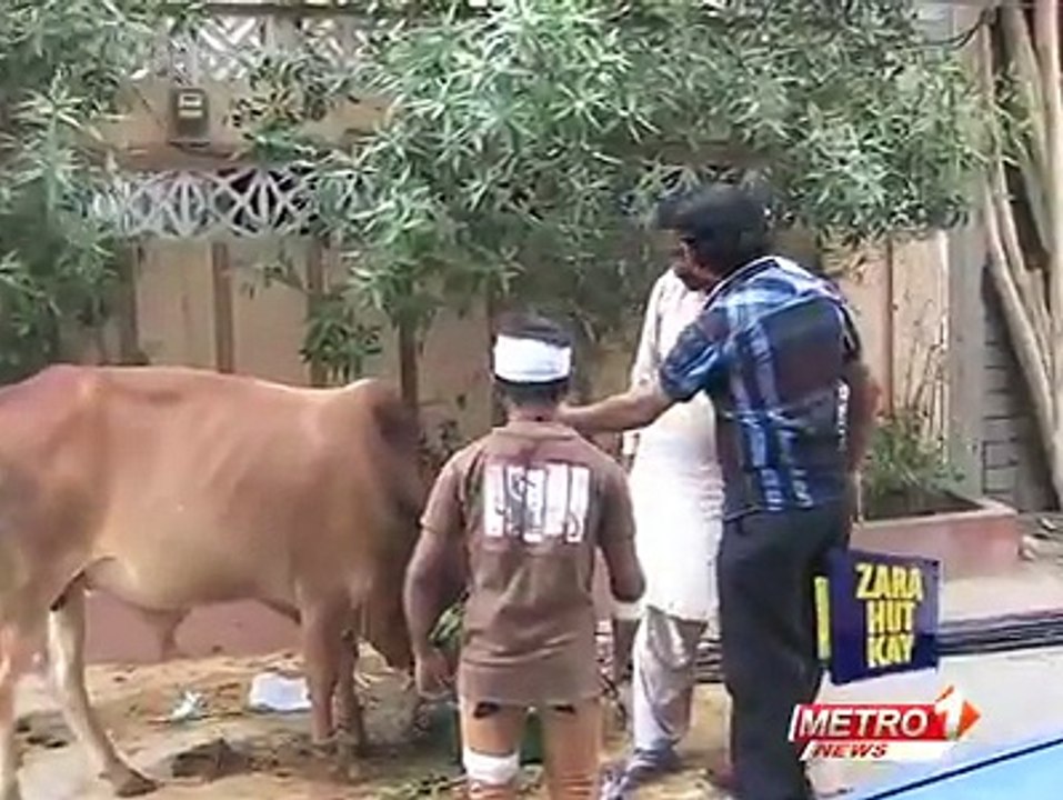 Bakra Eid Espaical