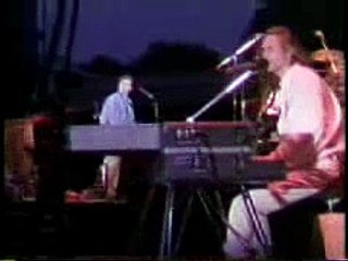 Hothouse Flowers - Dance To The Storm