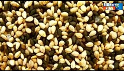 Sindhtv News Documentary CHANHU JO DARO PART 01