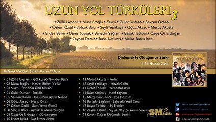 Seyfi Yerlikaya - Hozalı Gelin