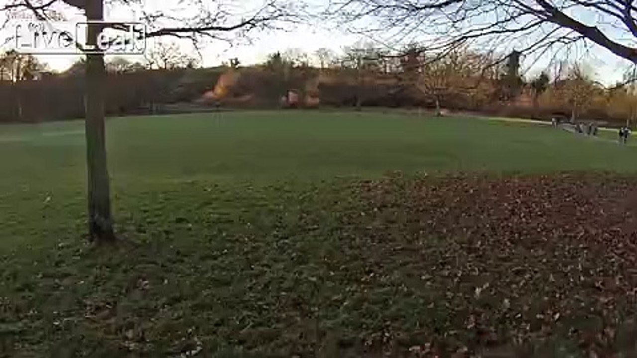 Losi 8ight Truggy. Throttle servo fail.