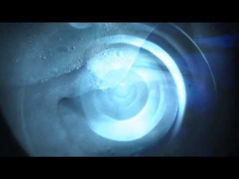 THE FEELING OF LOVE "CASTRATION FIELDS" ( OFFICIAL )