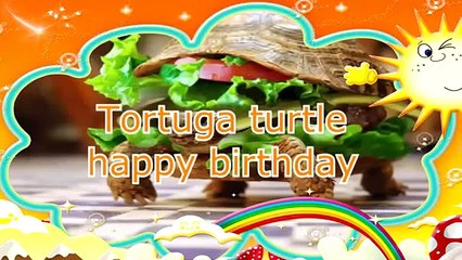 turtle  happy birthday tortuga canta cumpleaños feliz, canción, singing happy birthday , happy birth