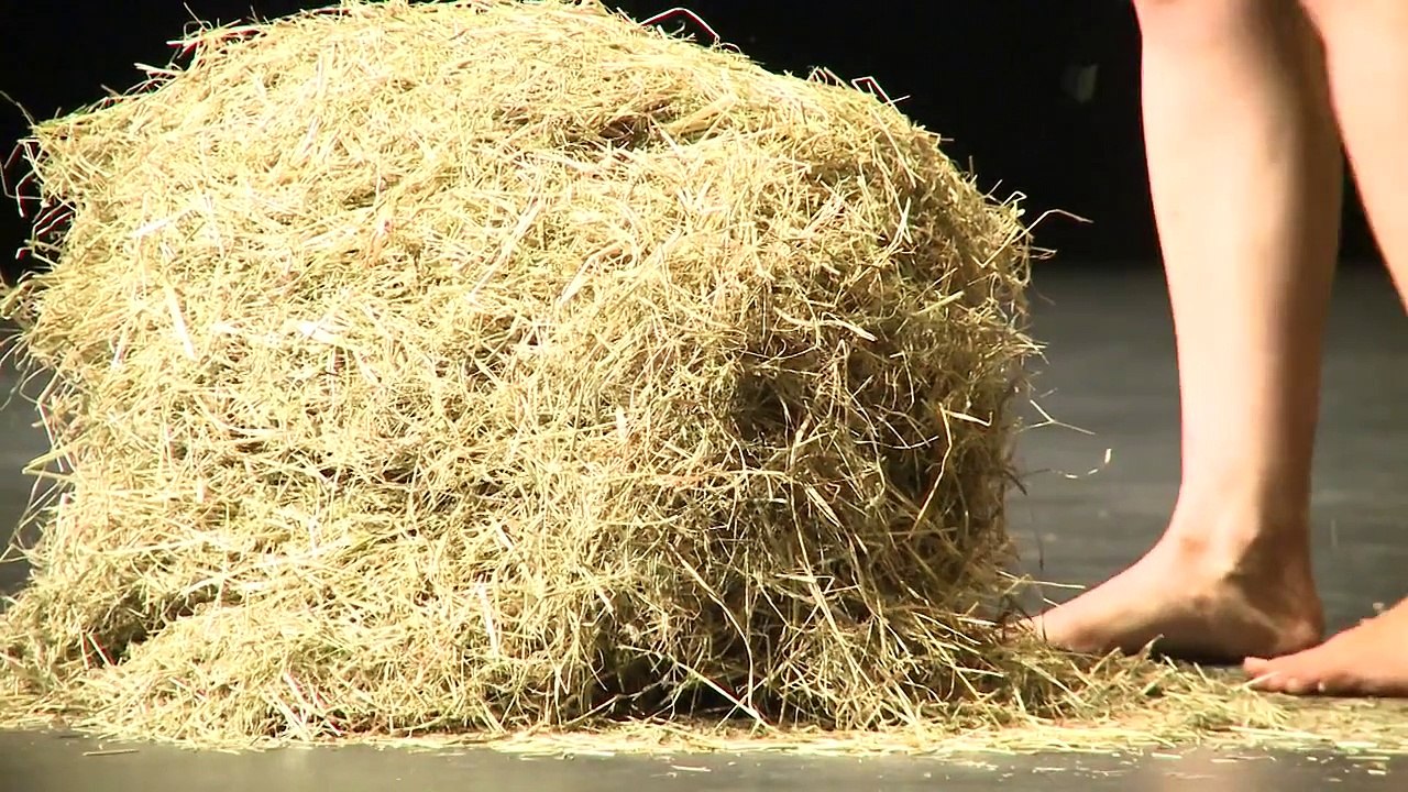 Künstlerische Abschlußarbeiten 2011