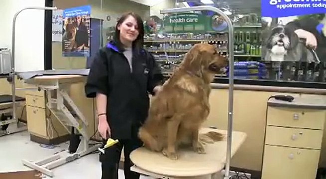 petsmart deshedding tool