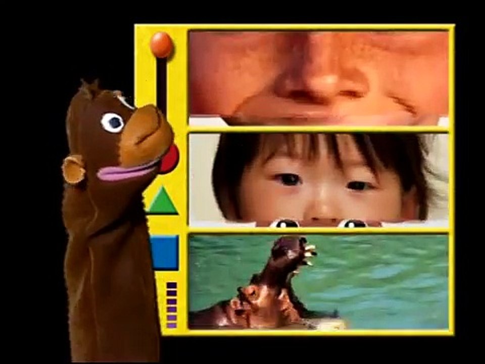 Baby Einstein Baby Da Vinci De La Cabeza A Los Pies video Dailymotion