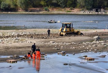 En Pologne, la Vistule presque à sec dévoile ses trésors