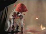 Mushroom Men: The Spore Wars