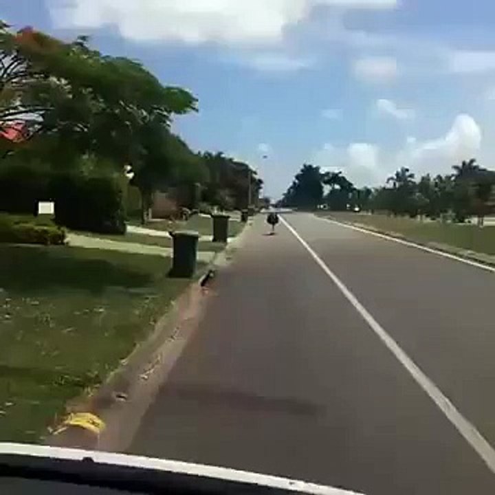Get Off the Bloody Road you Dickhead
