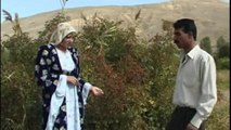 Dilbirin Memo - Kürtçe Uzun Havalar-İro Disa
