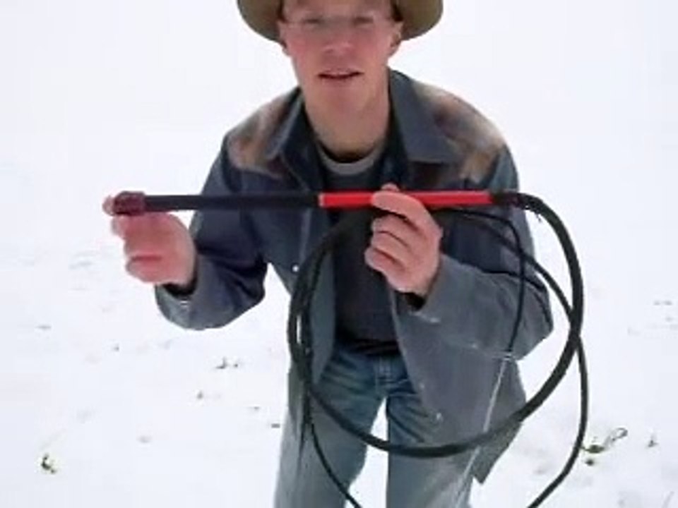 Bullwhip Cracking: the many ways to crack a whip