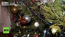 Ukraine: DNR fighters decorate Christmas tree with ammo, grenades