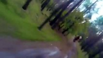 Cyclist escapes to from bear