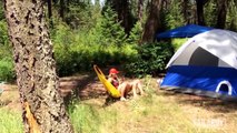 Best Outdoor and Camping Fails    FailArmy Compilation