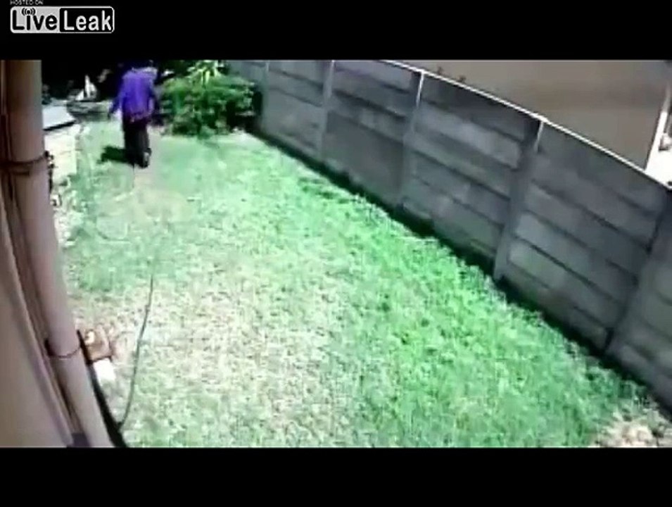 Vicious Dog Attacks Robber Sneaking Around The Backyard