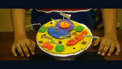 HSS Emmanuel 3D Model of Animal Cell PBL
