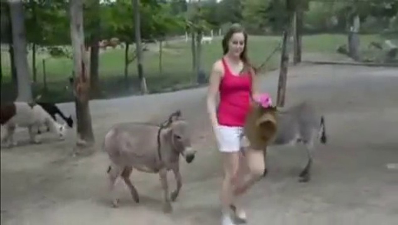 Oh !!! Donkey Gone Crazy