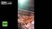 Russia: See ravenous cat tuck into supermarket fish supplies
