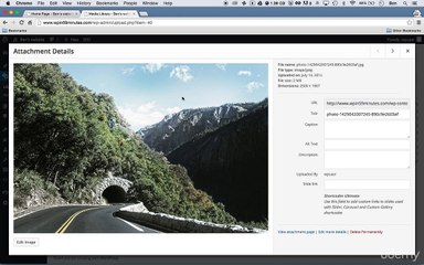 Working With Media Files