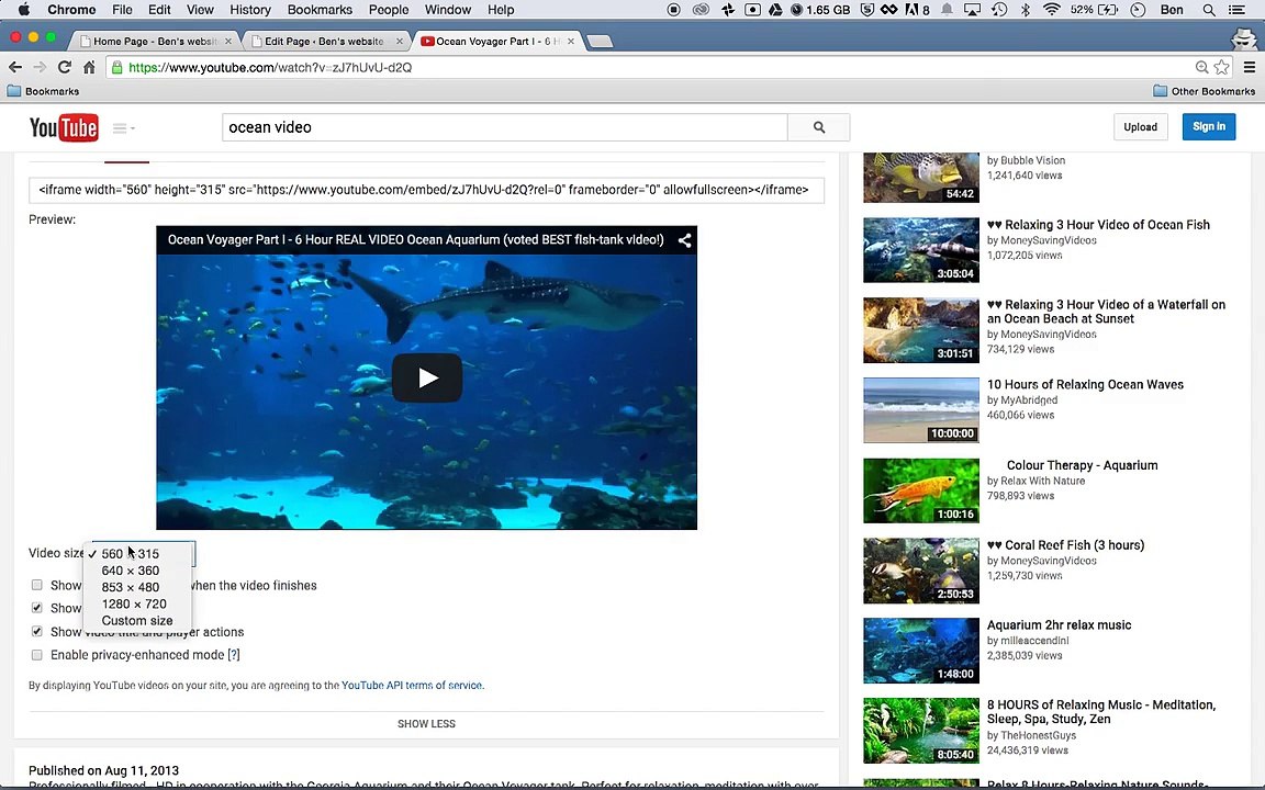 Embedding Videos and Other Objects