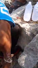 It moves around 28 second mark...