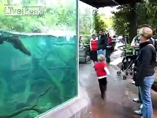 a kid and a playful sea otter