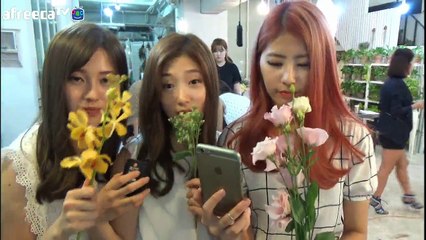 Daily DIA - DIA(다이아) (D-4) Part 2