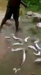 Sakhawat for Fish hant