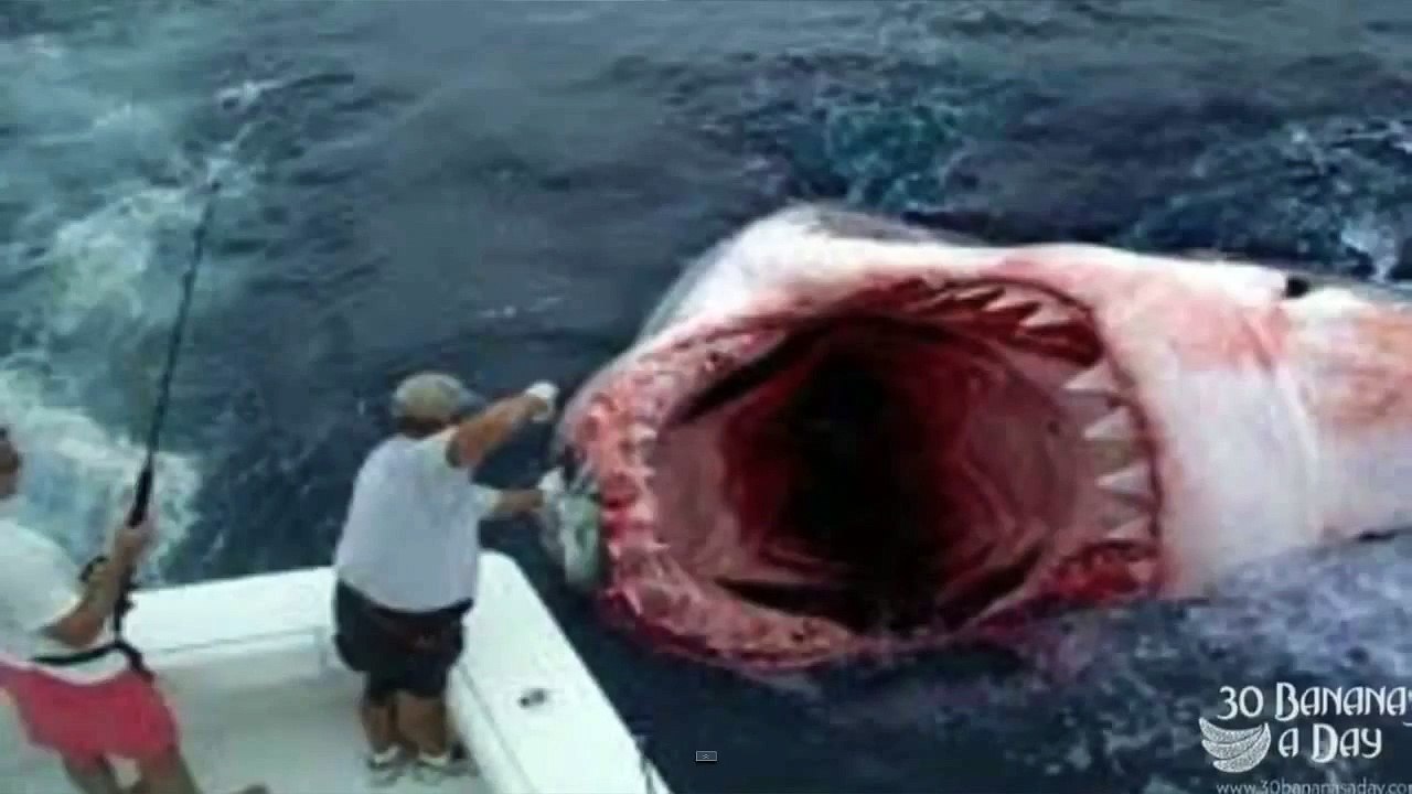 EL MISTERIO DEL MEGALODON Y EL BARCO HUNDIDO - MISTERIOS EN GTA V ONLINE