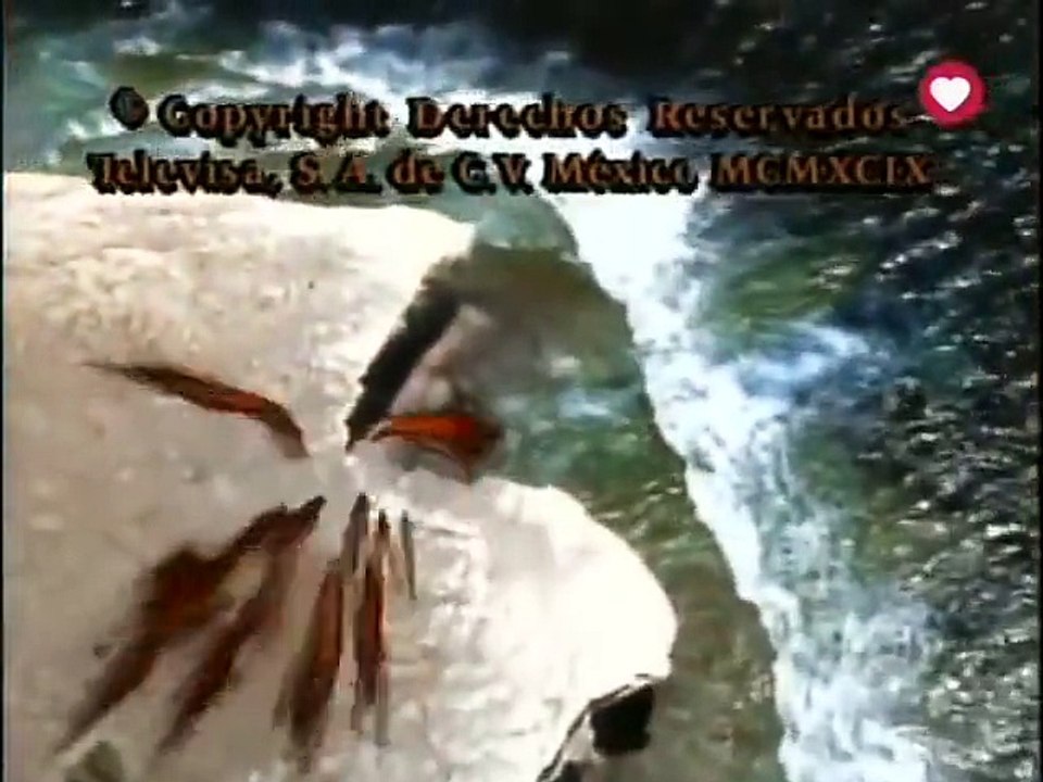 Por tu amor - Entrada de Telenovela