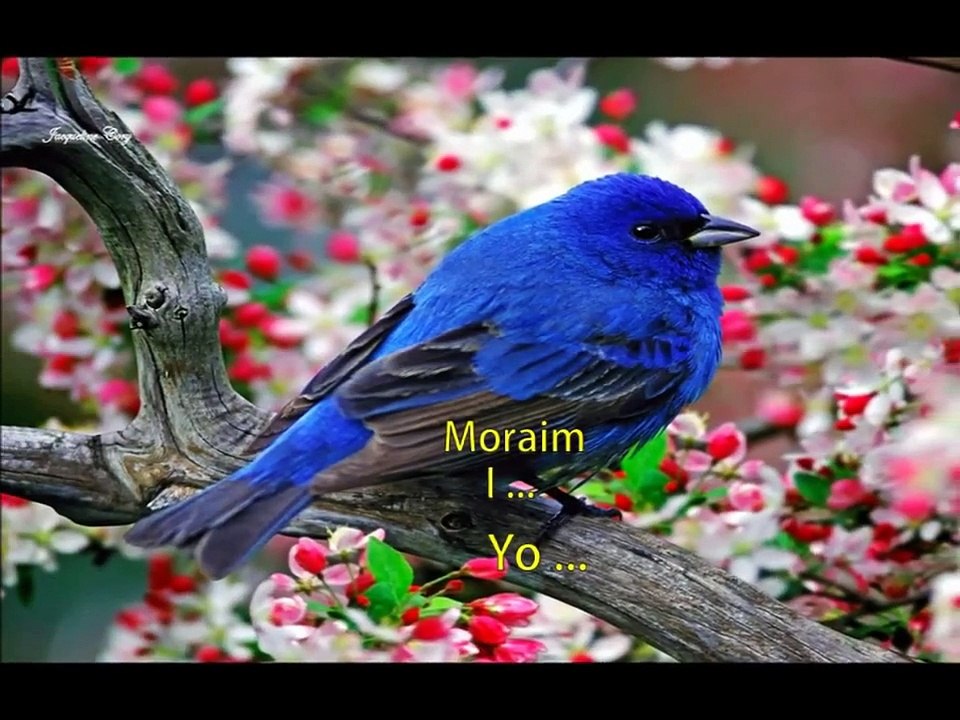 Enya * Athair Ar Neamh * Subtitulada Español + English Lyric & Irish-Gaelic (Very Beautiful)
