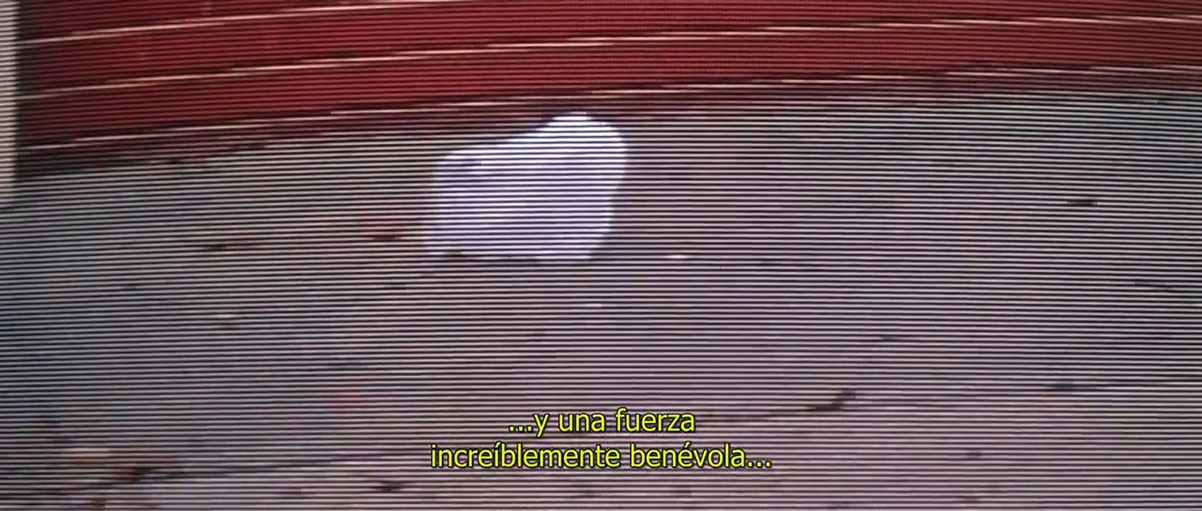 American Beauty