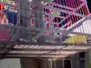 mi cardenal azul o cardenal imperial y mi cardenal rojo pichón