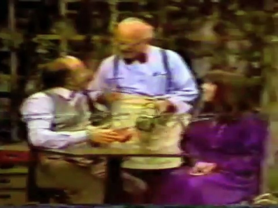 Segment from Sesame Street Episode 1497 (Part two of two)