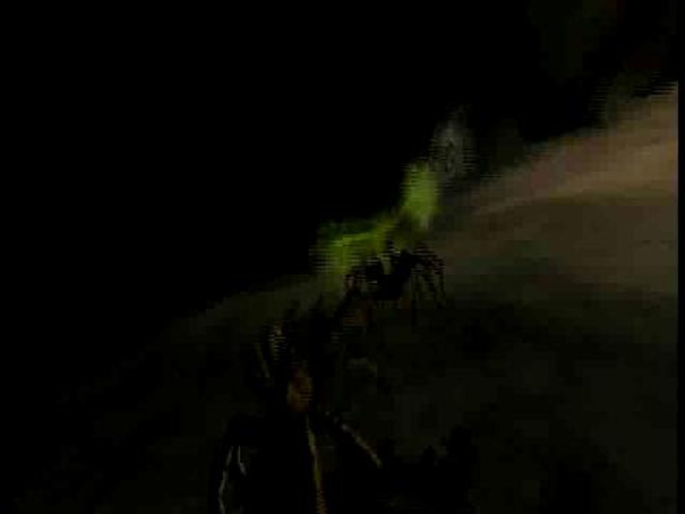 Deadly Creatures, la araña