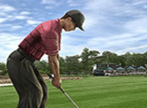 Tiger Woods 09, ajuste de palos