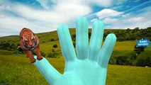Tiger Finger Family Rhymes For Kids |Tiger Animal Cartoon Finger Family Nursery Rhymes