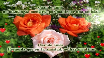 Cuando Ames - Reflexiones De La Vida