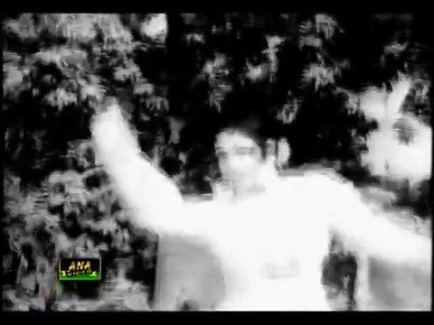 KAISRI DUPATTA GAL KURTI - BASHIRA, REMIX - Noor Jahan
