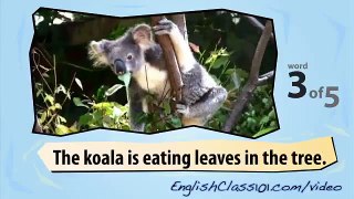 Australian Animals + Learn British English