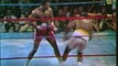 Top 10 Hardest Punches ever thrown in Boxing