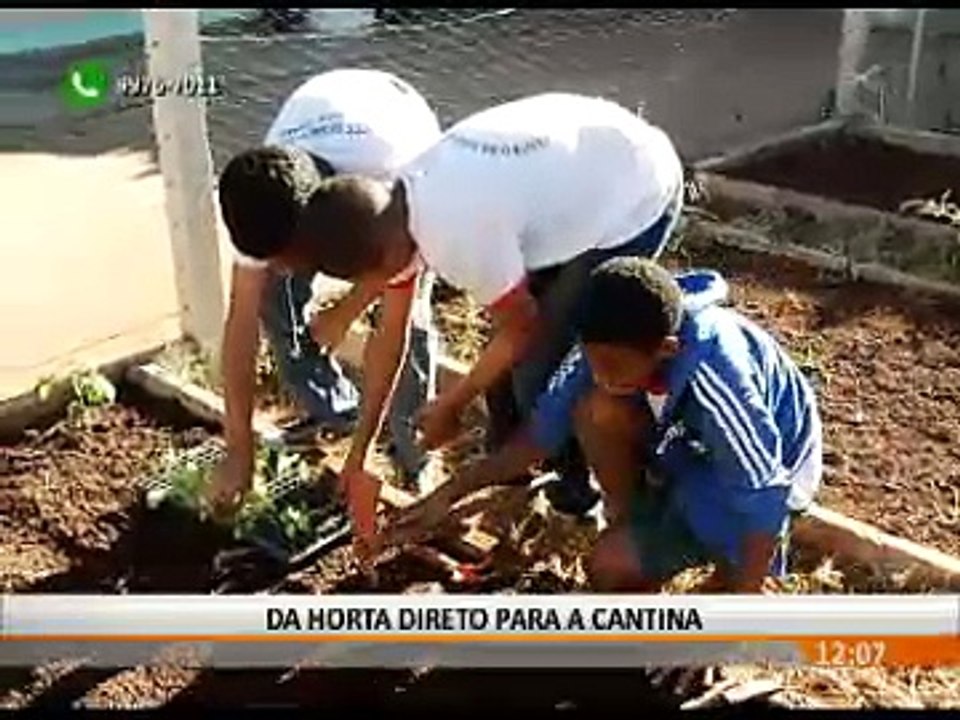 DA HORTA DIRETO PARA A CANTINA