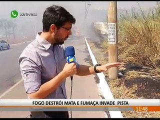 FOGO DESTRÓI MATA E FUMAÇA INVADE PISTA